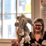 Debra Chantry-Taylor | EOS Implementer NZ | Elephant in the room | Business Coach | Leadership Coach