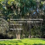 Debra Chnatry Taylor