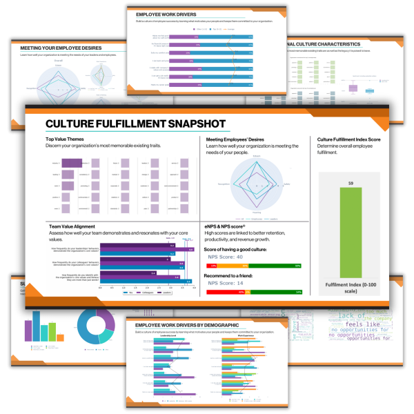Survey Report